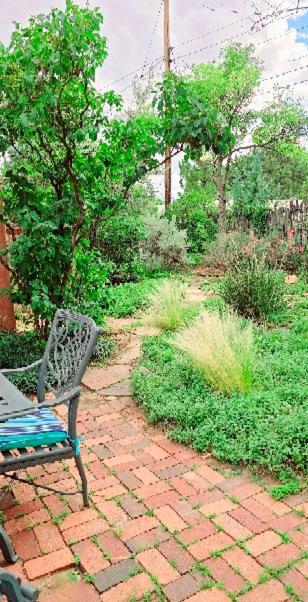Famed Plaza Oasis 1 Mile Away, King Bed, Office, Foosball *